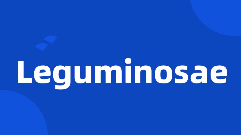 Leguminosae