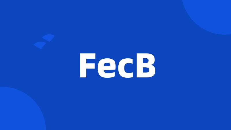 FecB