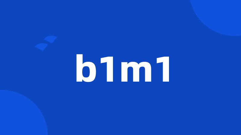 b1m1