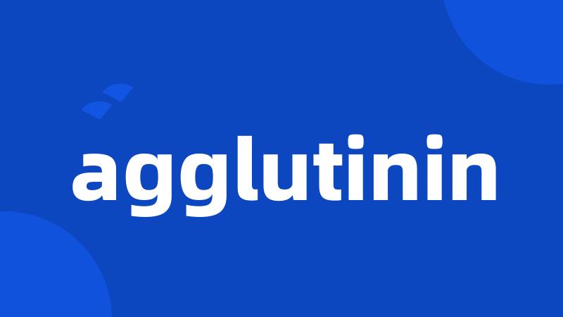 agglutinin