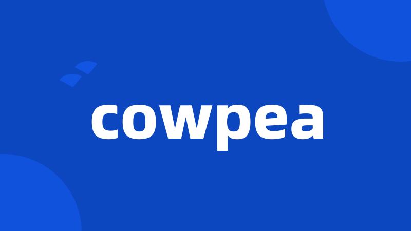 cowpea