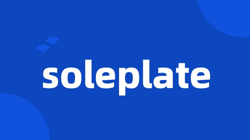 soleplate