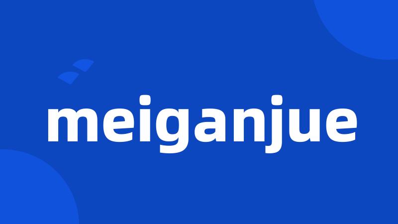 meiganjue