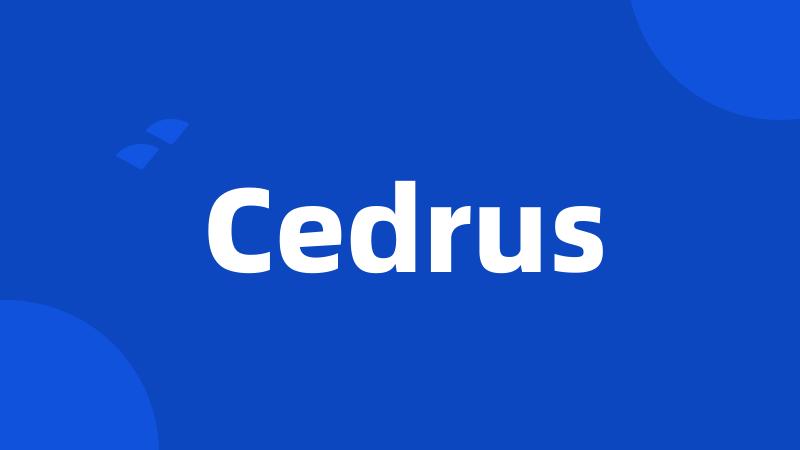 Cedrus