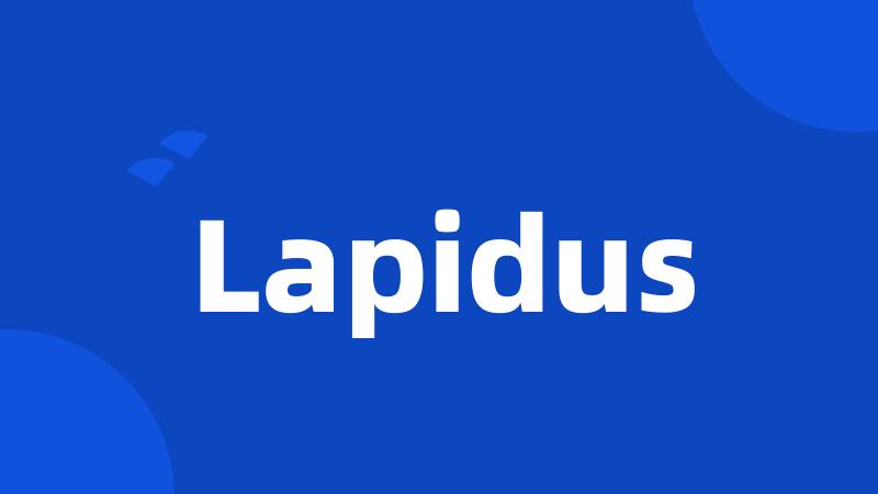 Lapidus