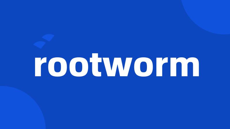 rootworm