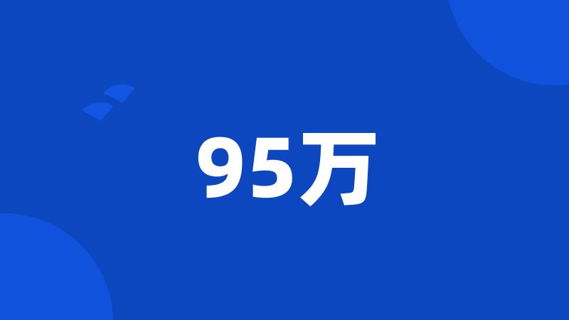 95万