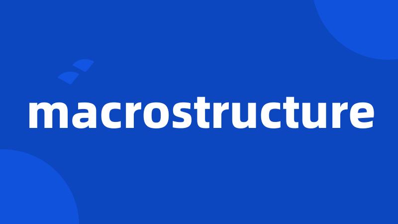 macrostructure