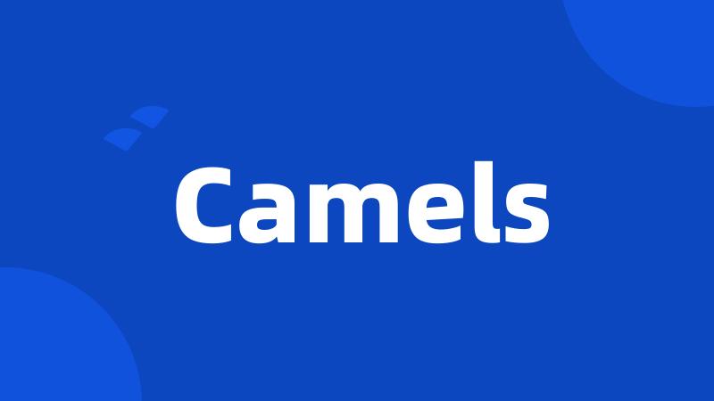 Camels