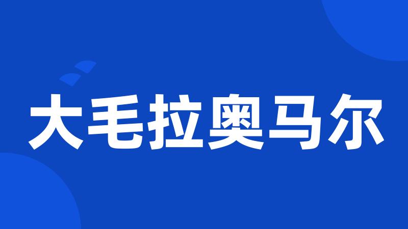 大毛拉奥马尔