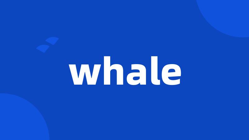 whale