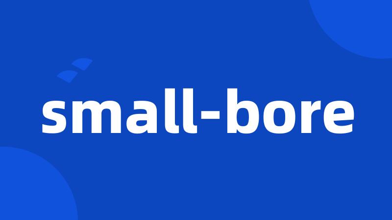 small-bore