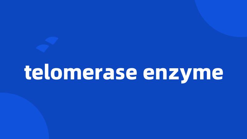 telomerase enzyme