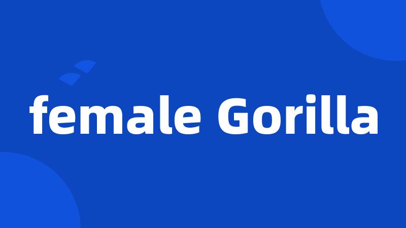 female Gorilla