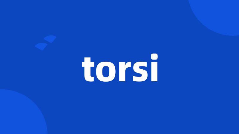 torsi