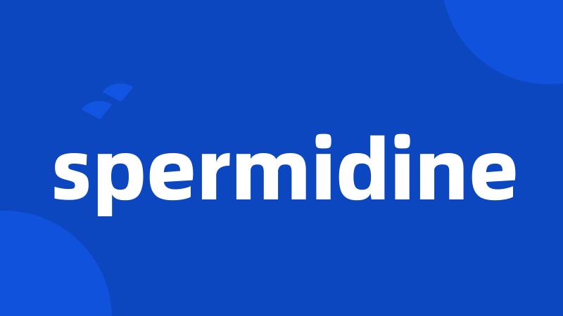 spermidine