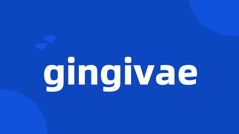 gingivae