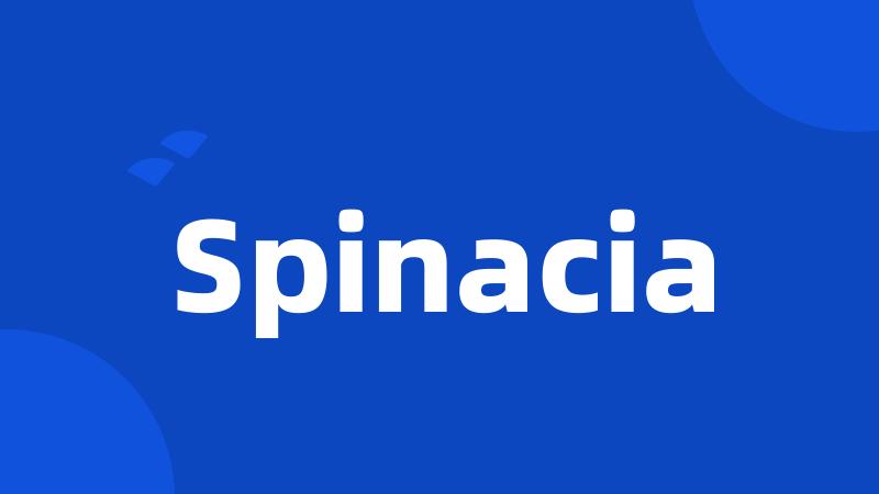 Spinacia