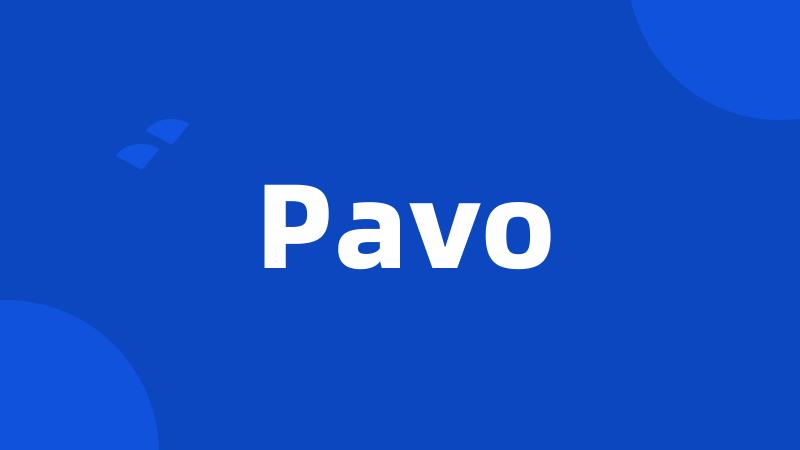 Pavo