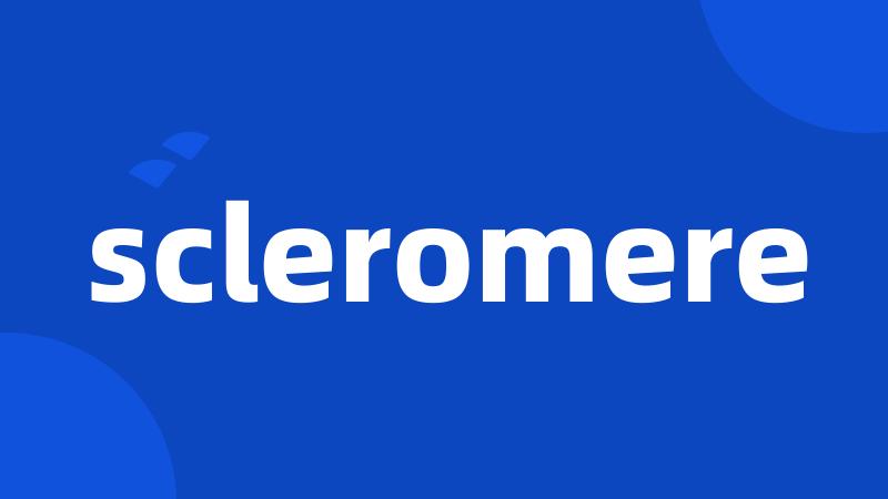 scleromere