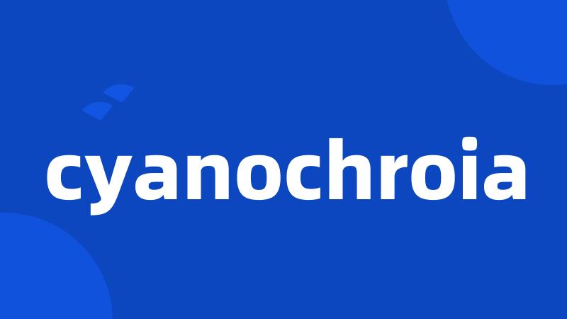 cyanochroia