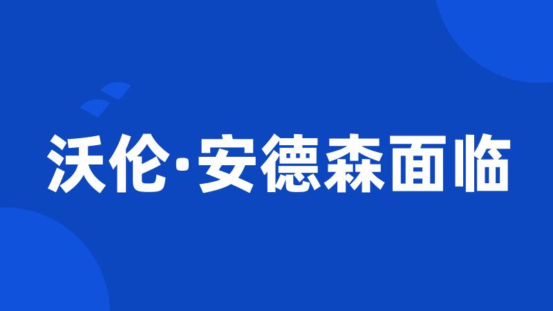 沃伦·安德森面临