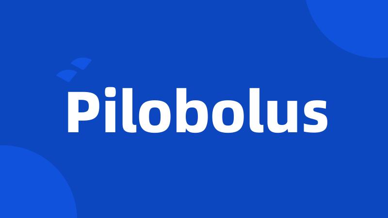 Pilobolus