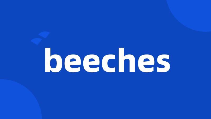 beeches