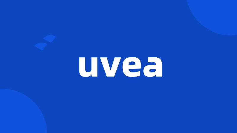 uvea