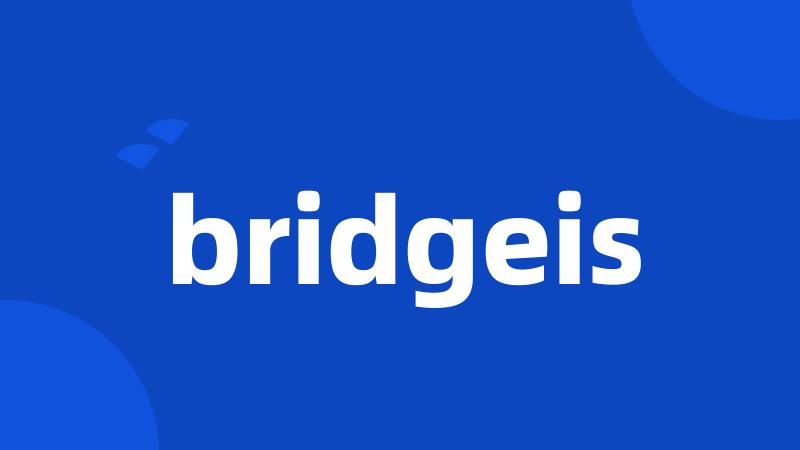 bridgeis