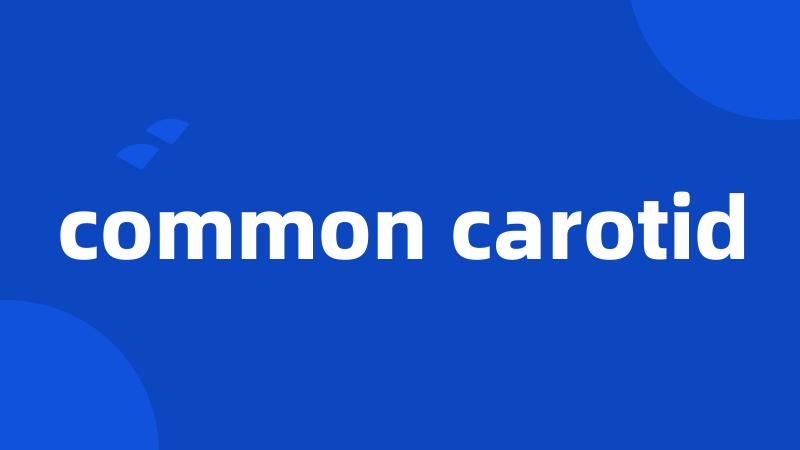 common carotid