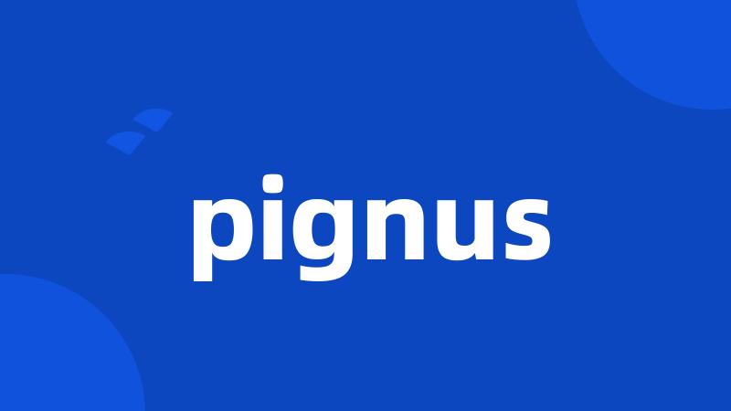 pignus