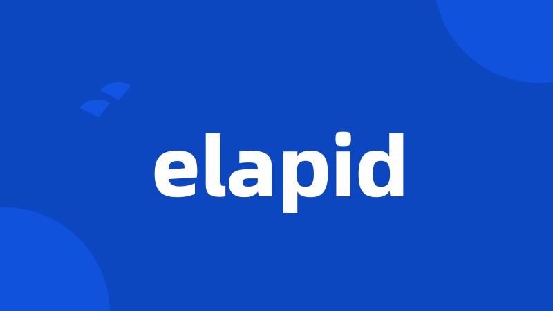 elapid