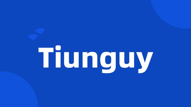 Tiunguy