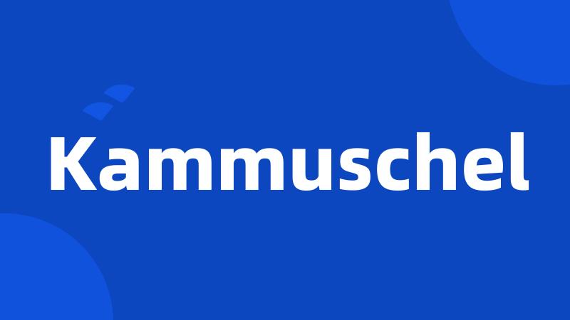 Kammuschel