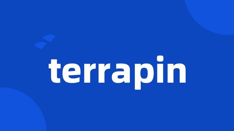 terrapin