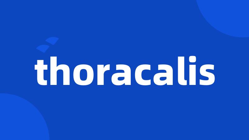 thoracalis