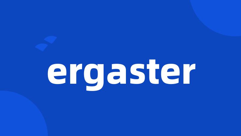 ergaster