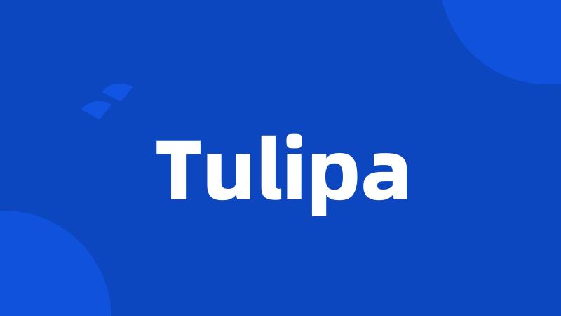 Tulipa