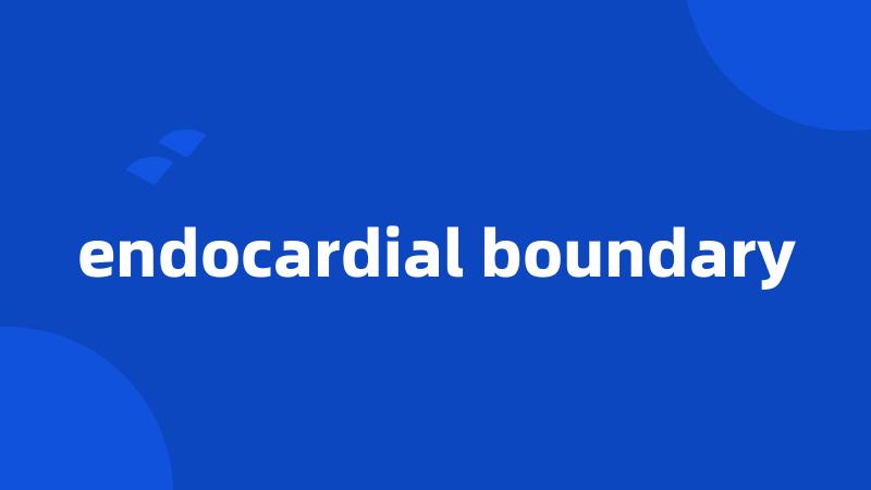 endocardial boundary