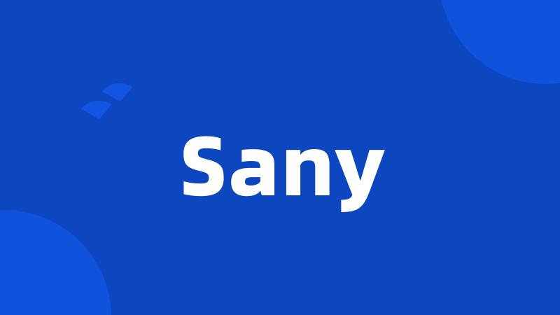 Sany