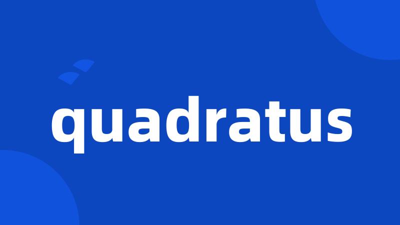 quadratus