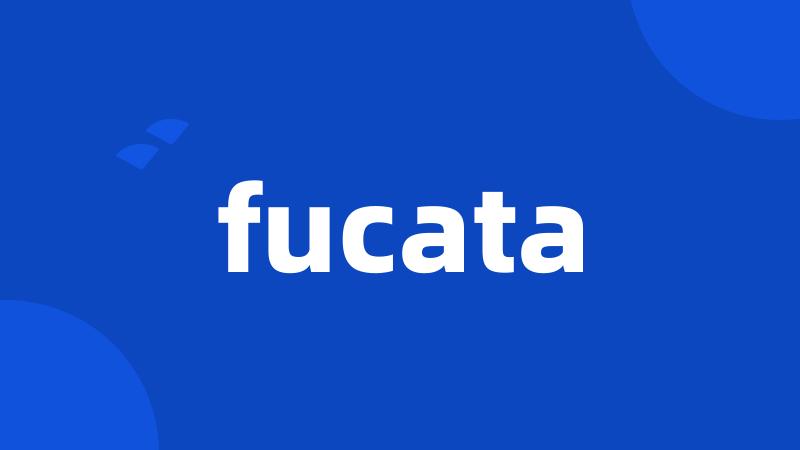 fucata