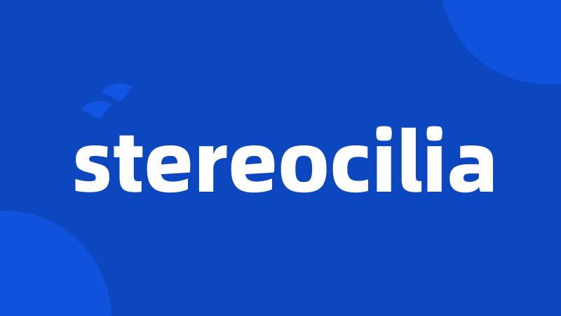 stereocilia