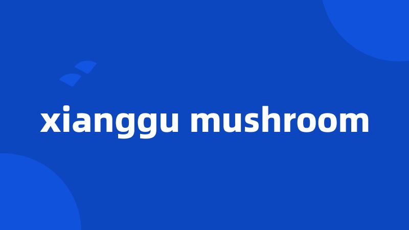 xianggu mushroom