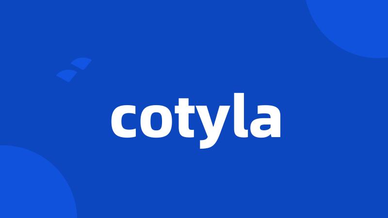 cotyla