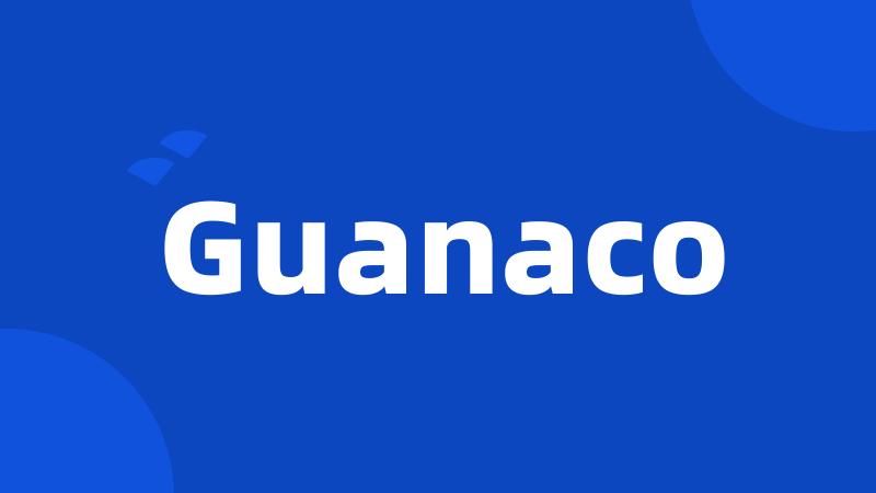 Guanaco