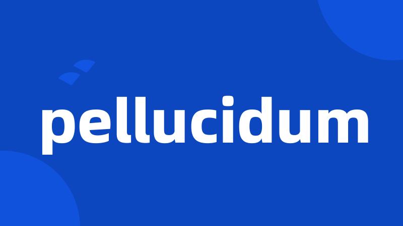 pellucidum