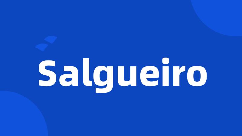 Salgueiro