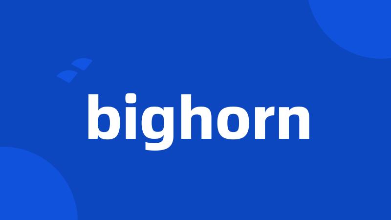 bighorn